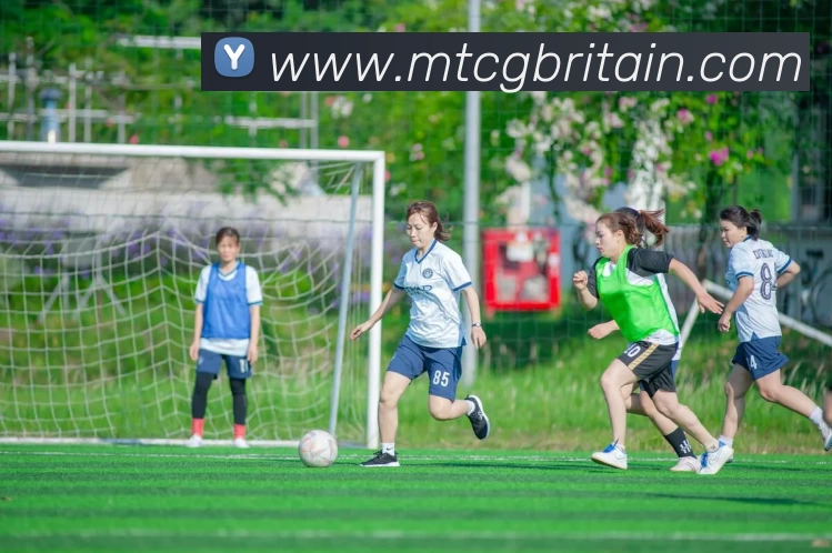 杏彩娱乐APP 封面图